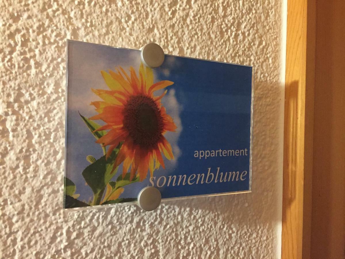Sunnaschi Appartements - Wohnungen Oder Gesamt Als "Huette" Laterns Ngoại thất bức ảnh